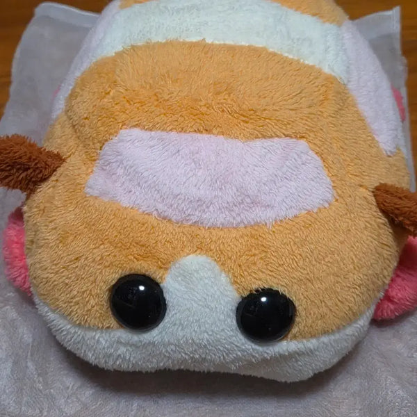 [BUNJANG] Mooruka Plush Doll / 뿌이뿌이 모루카 인형