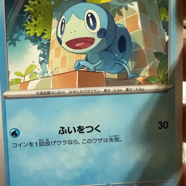 [BUNJANG] Pokemon Card Tierno / 포켓몬 카드 울머기 일판