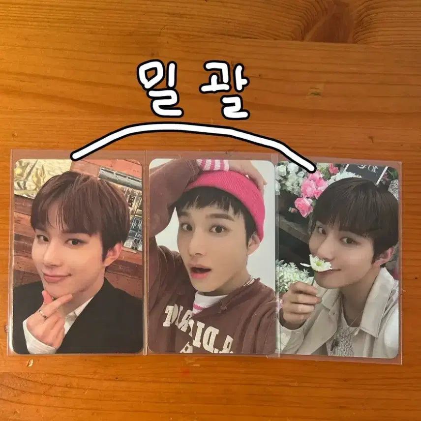 [BUNJANG] NCT 127 Jungwoo Bundle Set Photocard / 도재정&nct127 정우 포카 일괄(급처)