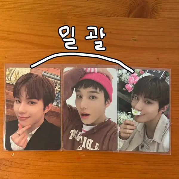 [BUNJANG] NCT 127 Jungwoo Bundle Set Photocard / 도재정&nct127 정우 포카 일괄(급처)