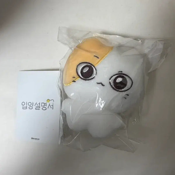[BUNJANG] BOYNEXTDOOR Sung-ho Teddy Bear Doll (Sealed) / 보넥도 성호 인형 떵냐 미개봉
