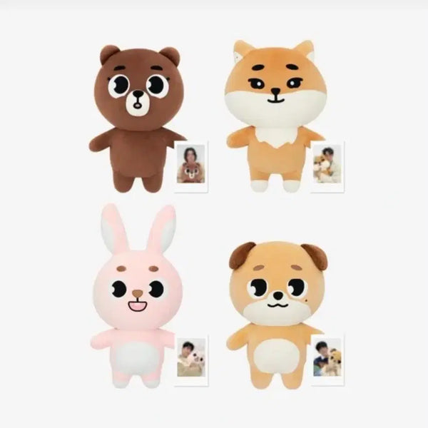 [BUNJANG] Day6 Giant Denimals Bundle Set (4 pieces) / 데이식스 자이언트 데니멀즈 4마리 미개봉 일괄