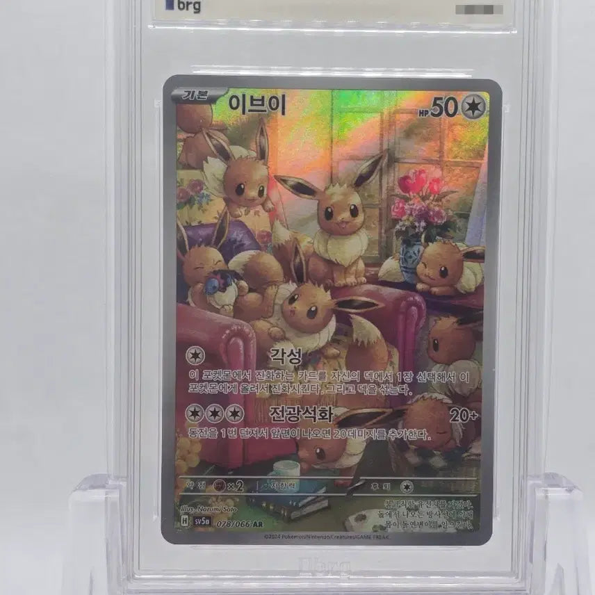 [BUNJANG] Pokemon Card Eevee AR Full Art / [BRG 9] 포켓몬카드 이브이 AR