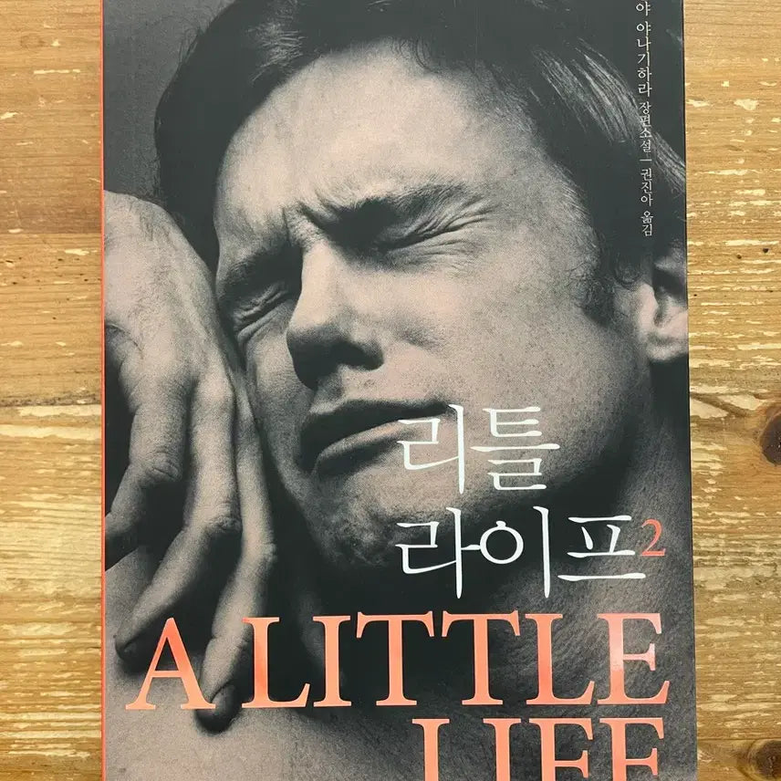 [BUNJANG] Little Life 2 - Hanya Yanagihara / 리틀 라이프 2 - 한야 야나기하라