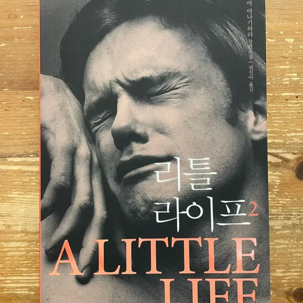 [BUNJANG] Little Life 2 - Hanya Yanagihara / 리틀 라이프 2 - 한야 야나기하라