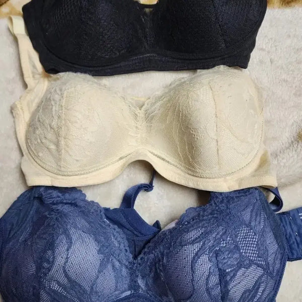 [BUNJANG] Lace Bra 3-Piece Set Size 85C / 85C 레이스 브라 3종 중고