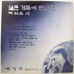 [BUNJANG] Baek Young-kyu (When We Meet in a Sad Season / Lost Bird) Vinyl Record / 백영규 (슬픈 계절에 만나요/짝잃은새)