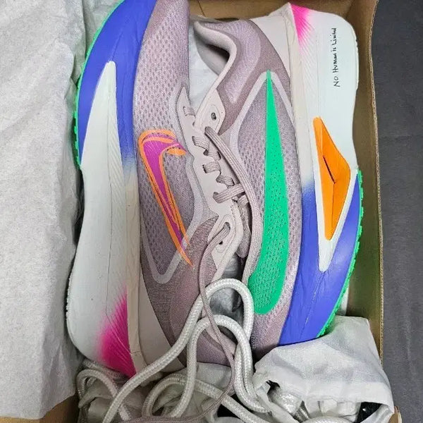 [BUNJANG] Nike Zoom Fly 6 Eliud Kipchoge 'Violet' Running Shoes - Size 255 / 나이키 줌 플라이 6 '엘리우드 킵초게' 바이올렛 255사이즈