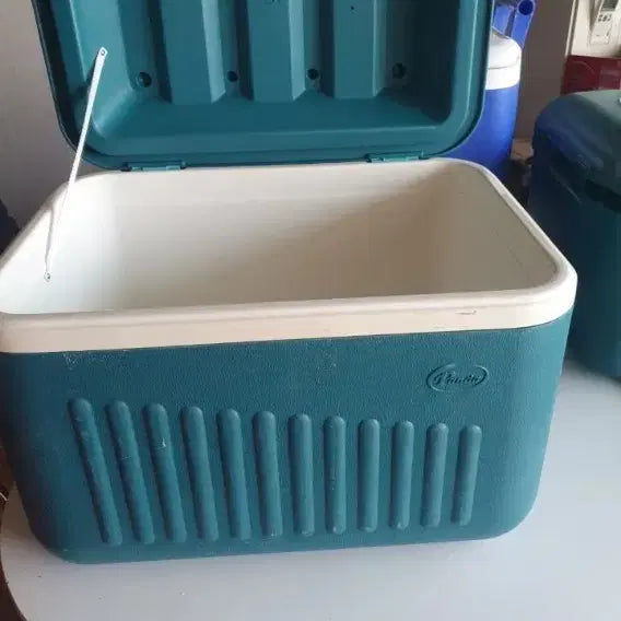 [BUNJANG] Coleman Cooler Box / 콜맨 아이스박스 쿨러