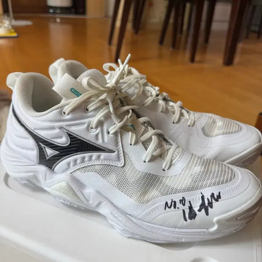 [BUNJANG] Bae You-na Signed Game-Worn Volleyball Shoes / 여자배구 배유나 선수 실착신발