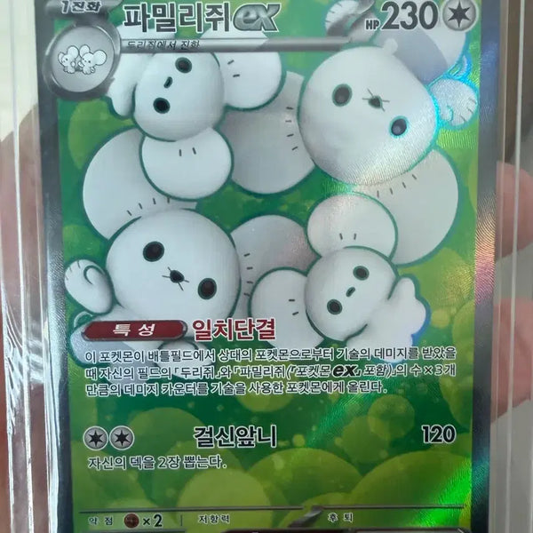 [BUNJANG] Pokemon Card Family of Three SR / 포켓몬카드 파밀리쥐 sr 팝니다