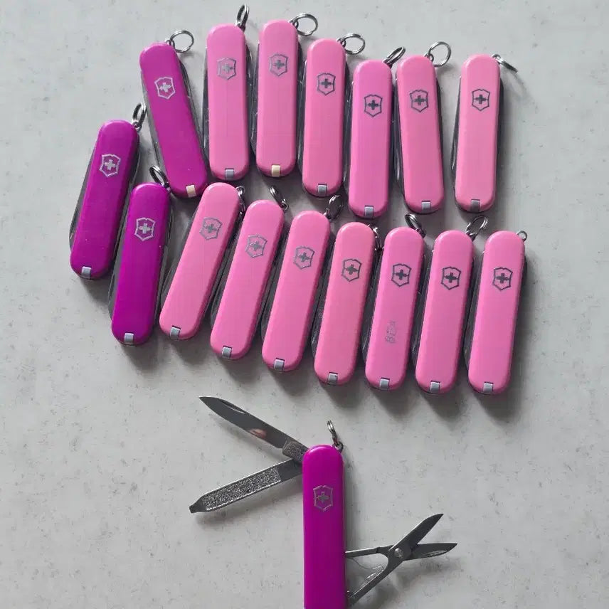 [BUNJANG] Victorinox Swiss Army Classic SD Mini Tool / 빅토리녹스 맥가이버 미니툴 클래식 SD 1개 가격 중고
