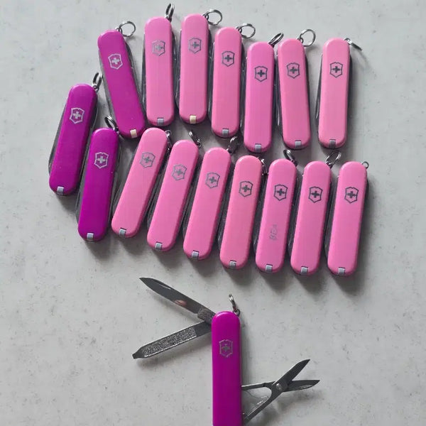 [BUNJANG] Victorinox Swiss Army Classic SD Mini Tool / 빅토리녹스 맥가이버 미니툴 클래식 SD 1개 가격 중고