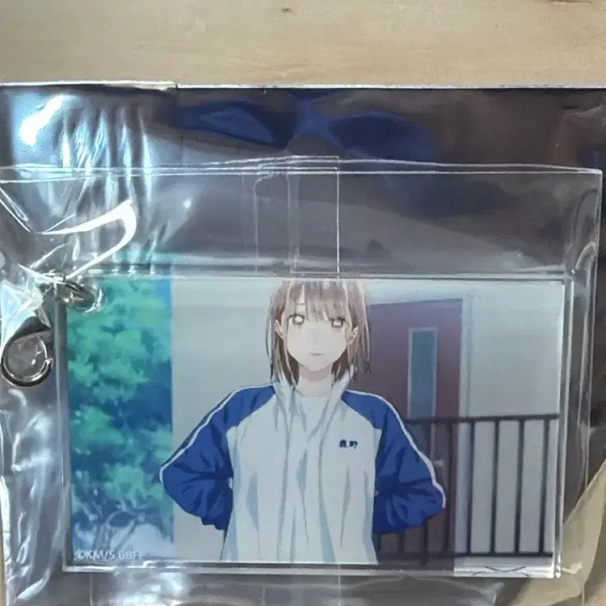 [BUNJANG] Purun Sangja Acrylic Keyring / 푸른상자 아크릴 키링