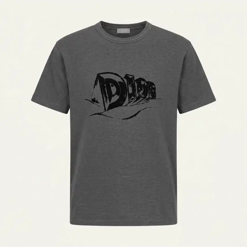 [BUNJANG] Dior Asteró Logo T-Shirt Charcoal (S) / [시즌오프] 디올 아스테로 로고 반팔 차콜 (S)