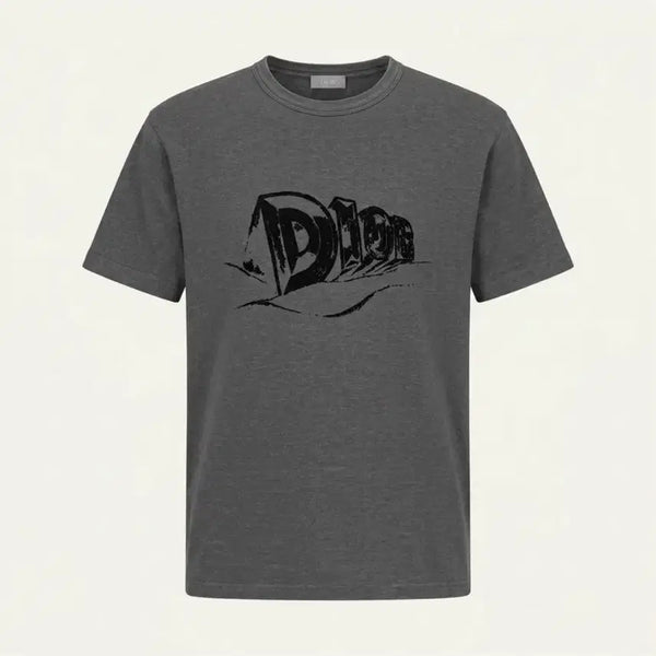 [BUNJANG] Dior Asteró Logo T-Shirt Charcoal (S) / [시즌오프] 디올 아스테로 로고 반팔 차콜 (S)