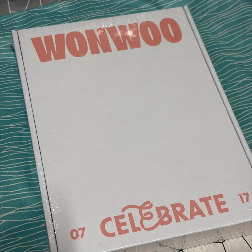 [BUNJANG] Seventeen Wonwoo Birthday Box v3 (Sealed) / 미개봉 세븐틴 원우 생박 버전3 생일박스