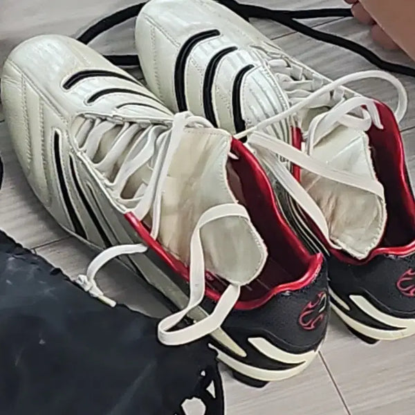 [BUNJANG] Adidas Predator Absolute 170 / 아디다스 프레데터 앱솔루트 170