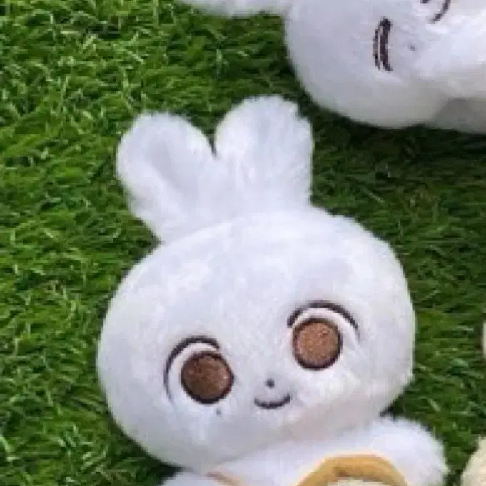 [BUNJANG] Jjong Mochi Plush / 쫑모찌팔아요