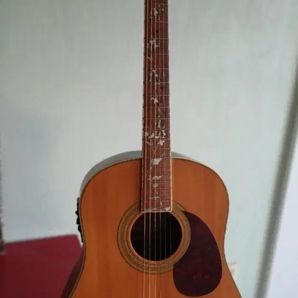 [BUNJANG] Segovia EPA5M SN All-Solid Mahogany Dreadnought Acoustic Guitar / 세고비아 EPA5M SN 올솔리드 통기타