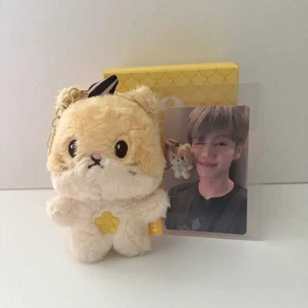 [BUNJANG] Highlight Official Plush Toy / 하이라이트 공식 인형(소푸)