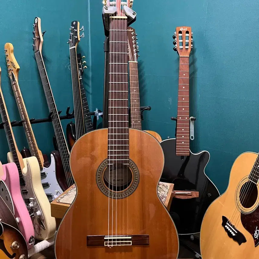 [BUNJANG] Vintage VCSI-230 Solid Top Classical Guitar / 클래식기타 밴티지 VCSI-230