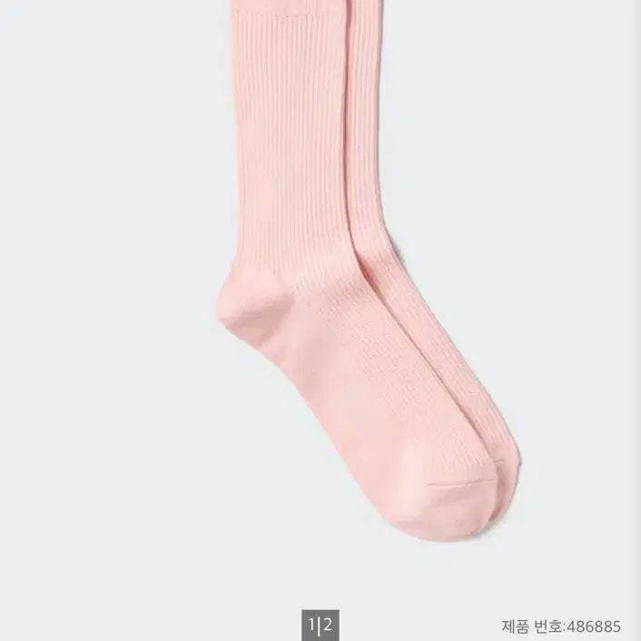 [BUNJANG] Uniqlo Color Socks 10 Pink / 유니클로 컬러삭스 10 핑크