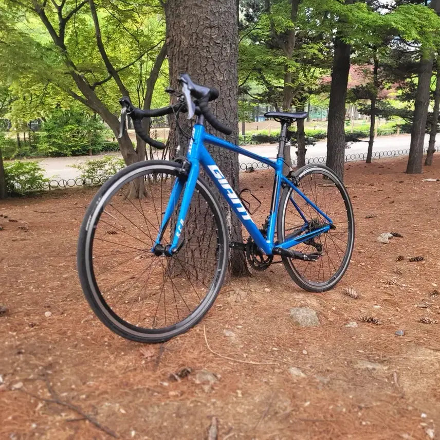 [BUNJANG] Giant SCR Road Bicycle / (개급처) 자이언트 SCR로드 직거래만 받습니다