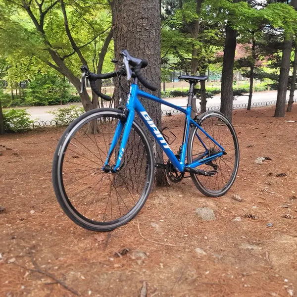 [BUNJANG] Giant SCR Road Bicycle / (개급처) 자이언트 SCR로드 직거래만 받습니다