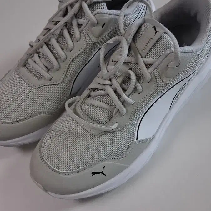 [BUNJANG] Puma Men's Sneakers Size 280 New / 푸마 남자 운동화 280사이즈 새상품 판매합니다!