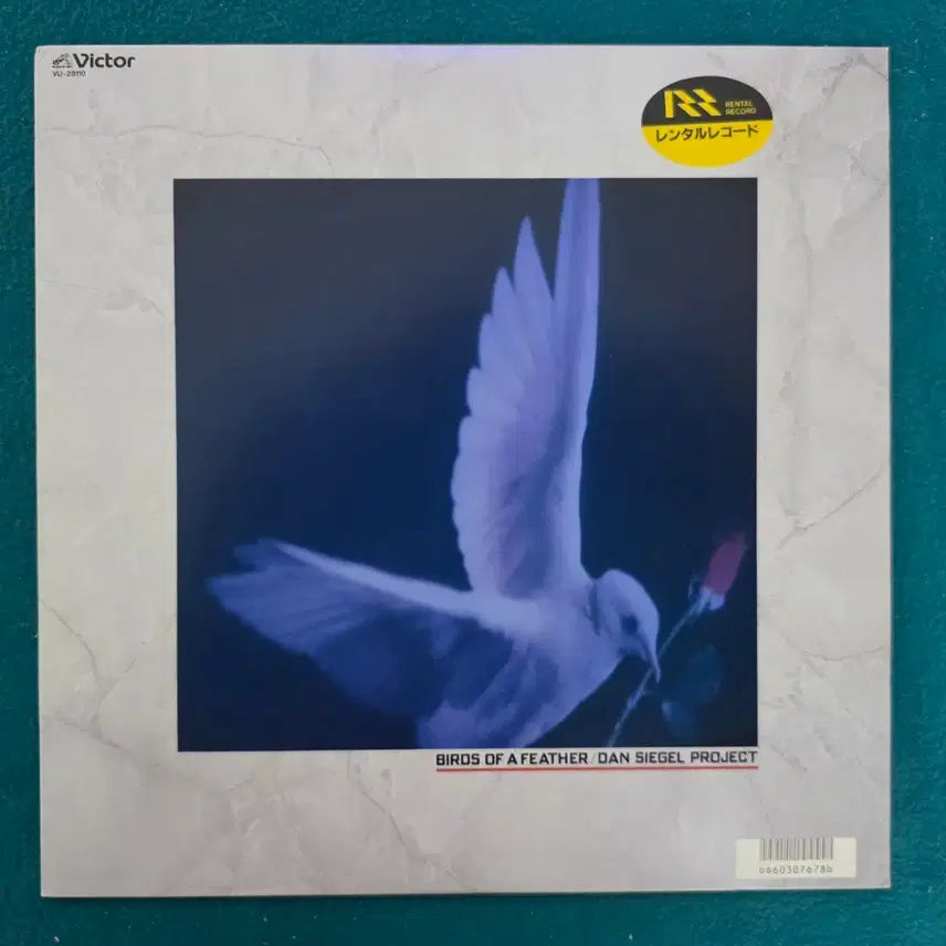 [BUNJANG] Dan Siegel Project Birds of a Feather LP Vinyl Record / Dan Siegel Project의 Birds of a Feather LP 앨범