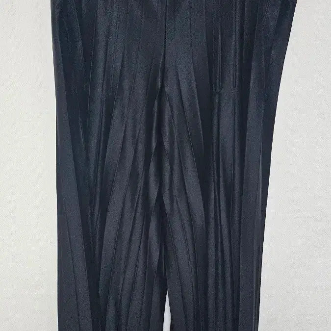 [BUNJANG] Issey Miyake Pleats Hakamai Pants / Issey Miyake 플리츠 하카마 팬츠