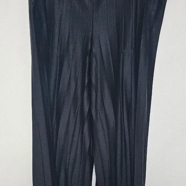 [BUNJANG] Issey Miyake Pleats Hakamai Pants / Issey Miyake 플리츠 하카마 팬츠