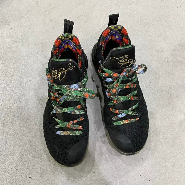 [BUNJANG] Nike LeBron 16 Basketball Shoes / 나이키 르브론 16 WTT 275