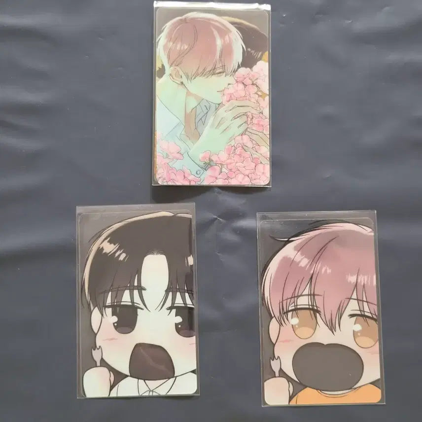 [BUNJANG] Arpeggio of the Sea Transparent Photocard Bundle Set (3 pcs) / 해수면의 아르페지오 포토카드 3장 일괄 투명포카