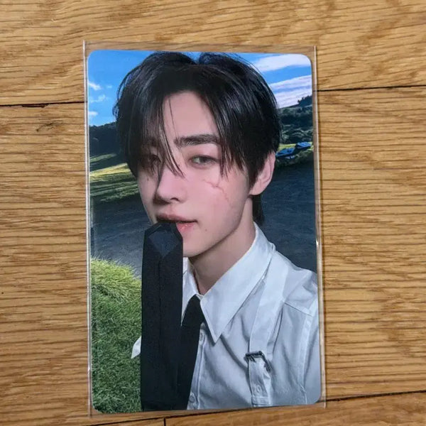 [BUNJANG] ENHYPEN Sunghoon Romance Untold Is With You Photocard / enhypen 엔하이픈 성훈 로맨스언톨드 이즈위 포카