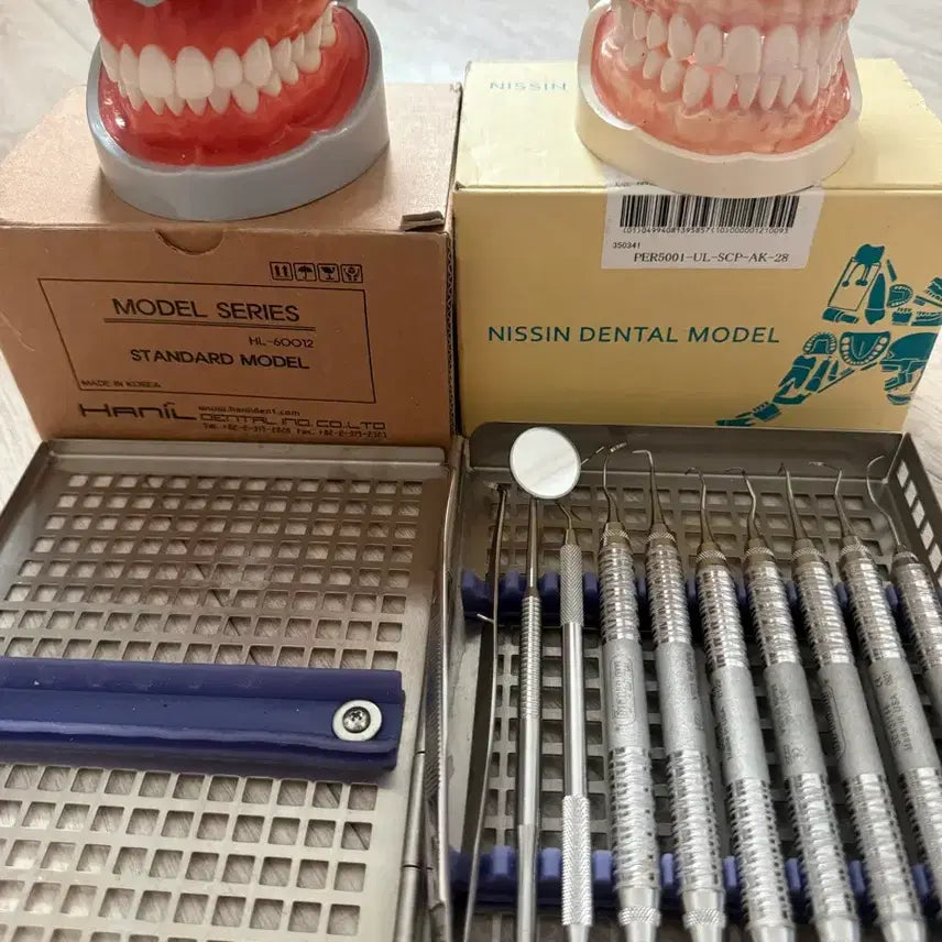 [BUNJANG] NISSIN DENTIFORM & Manual Instruments Set / 치위생과 덴티폼, 수기구 판매