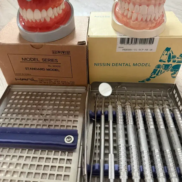 [BUNJANG] NISSIN DENTIFORM & Manual Instruments Set / 치위생과 덴티폼, 수기구 판매