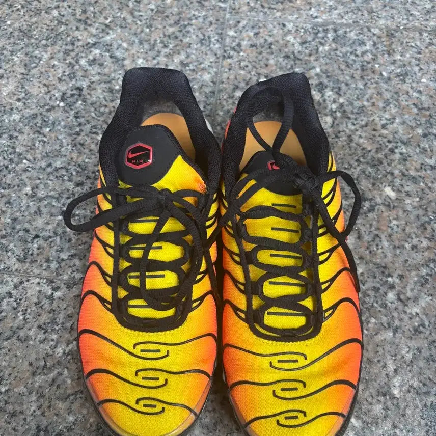 [BUNJANG] Nike Air Max Plus Sneakers / (265) 나이키 에어맥스플러스