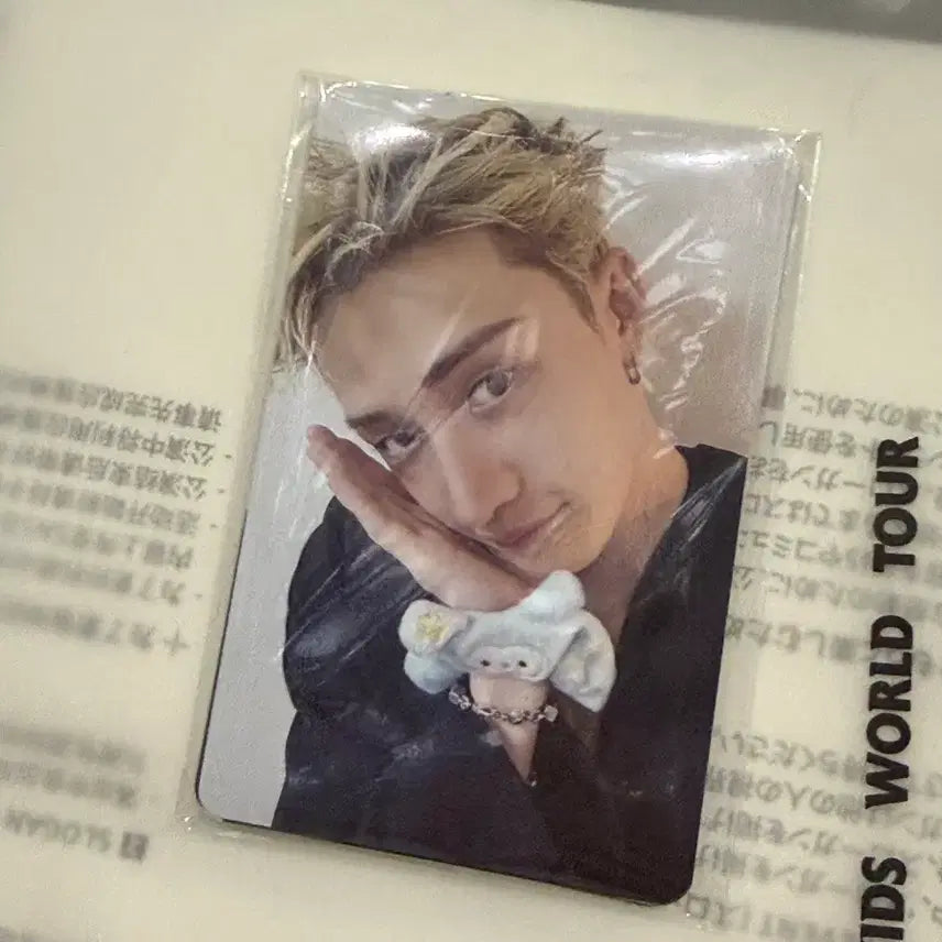 [BUNJANG] Stray Kids Concert Entry Photocard / 스키즈 스트레이키즈 콘서트 입장포카 스테이존 양도