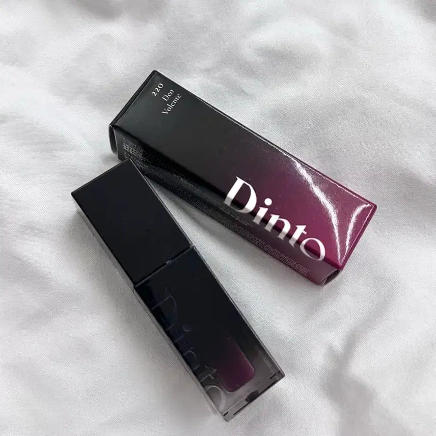 [BUNJANG] Dinto Blur Glossy Lip Tint 220 Theobolente / 딘토 블러글로이 립틴트 220 데오볼렌테