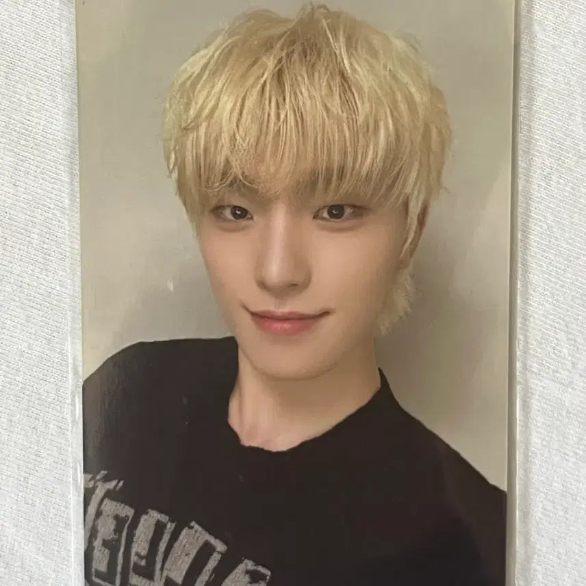 [BUNJANG] SEVENTEEN Dino Photocard & Earrings Bundle Set / 세븐틴 귀걸이 디노 포카 포함