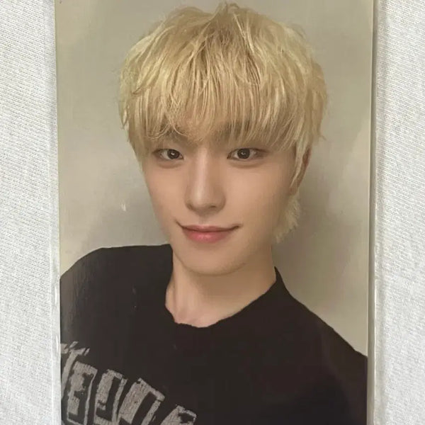 [BUNJANG] SEVENTEEN Dino Photocard & Earrings Bundle Set / 세븐틴 귀걸이 디노 포카 포함