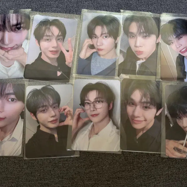 [BUNJANG] ZB1 Shanghai Selfie Photocard / Rrrrrr 전용