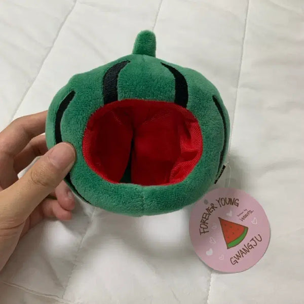 [BUNJANG] DAY6 Forever Young Gwangju Watermelon Hat MD / 데이식스 포에버영 광주 수박모자 MD