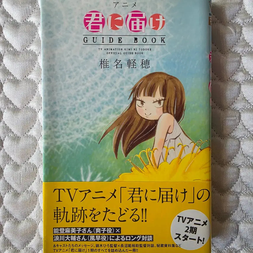 [BUNJANG] Reaching You Animation Guidebook / 너에게 닿기를 가이드북 (하단 모서리 데미지)