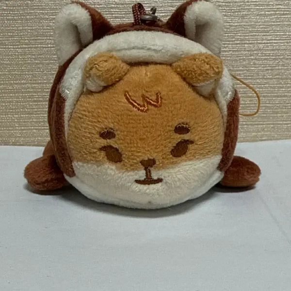 [BUNJANG] Denimals Pet Carrier Bundle Set / 데니멀즈 사족보행 쁘띠케 + 다람쥐 옷 일괄