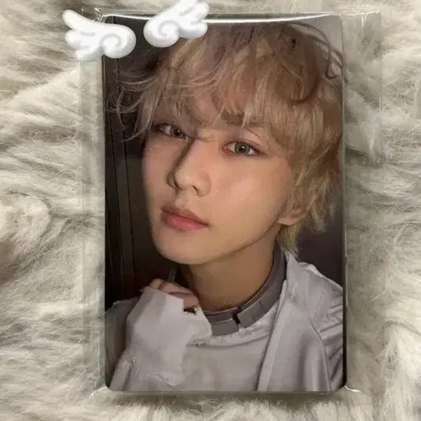 [BUNJANG] ENHYPEN DEISRE POB Photocard Set / 엔하이픈 디자이어 특전포카 세트