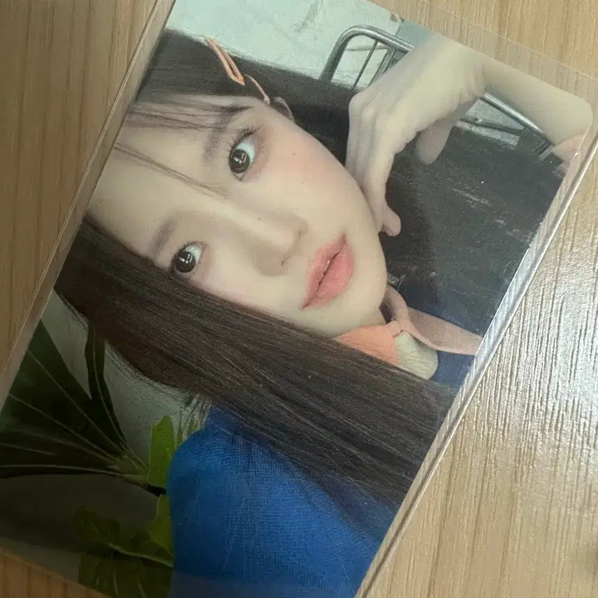 [BUNJANG] fromis_9 Song Hayoung Standard Wave Kino Album Photocard / [판매] 프로미스나인 송하영 스디웨 키노 앨범 포토카드
