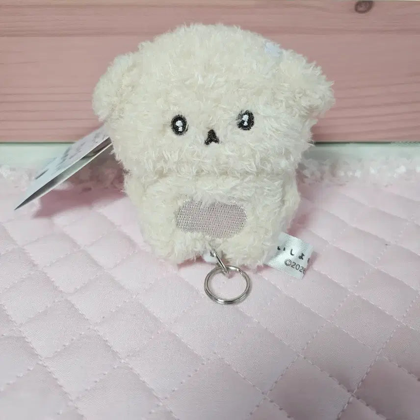 [BUNJANG] Ishiyowachang Lil' Pass Doll Keyring / (일본정품) 이시요와짱 릴패스 인형 키링